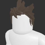 Lost Hair