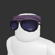 Fighter Shades