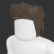 Reasonable Hair