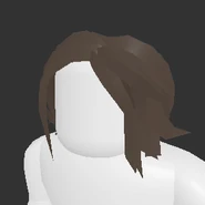 Long Ponytail