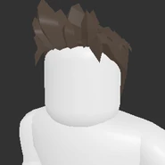Popstar Hair
