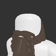 Braided Beard