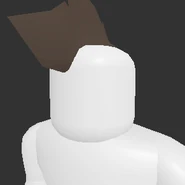 Mohawk
