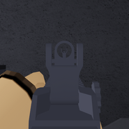 The F57's Iron Sights.