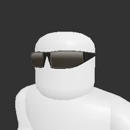 Sleek Shades