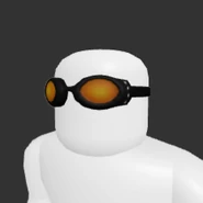 Ski Shades