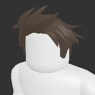 Upswept Hair