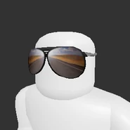 Roadtrip Shades