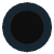 Microcam.png