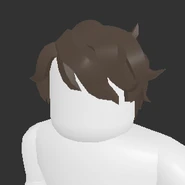 Messy Wavy Hair