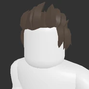 Stylish Hair