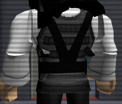 Armor Entry Point Wiki Fandom - armor entry point roblox