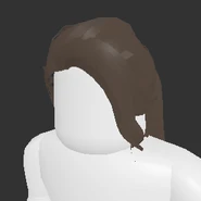 Long Wavy Hair