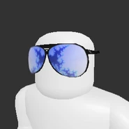 Snow Shades