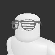 Shutter Shades