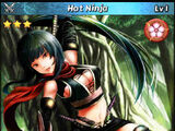 Hot Ninja