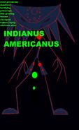 Indianus Americanus