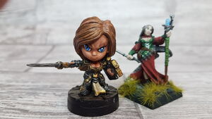 Female paladin, fighter