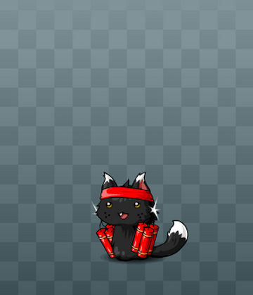 Cat bomber top