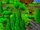 Epic Battle Fantasy 3 Map/M5 Vegetable Forest