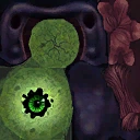 Seer Texture