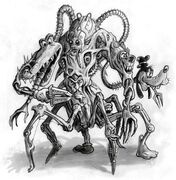 One of the many unused Beetleworx