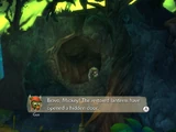 Jungle Lanterns