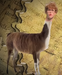 Tina the Llama (Napoleon version)