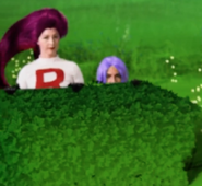 Team Rocket hiding behind the bushes