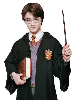 Harry Potter Based On