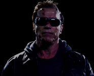 The ERB announcer in the form of the Terminator (portrayed by Arnold Schwarzenegger), at the end of Terminator vs Robocop