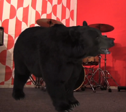 The ERB announcer in the form of an American black bear