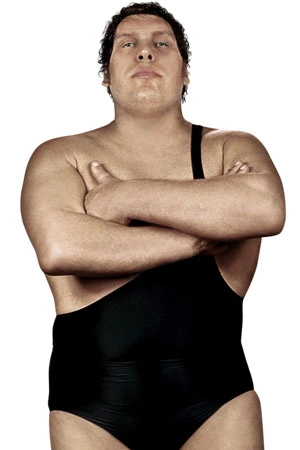 Andre the Giant Based On