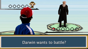 Pokémon Battle Scene