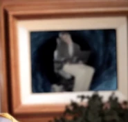 Stephen Hawking Cameo Mr. T vs Mr. Rogers.png (204 KB) Stephen Hawking in Mister Rogers' house