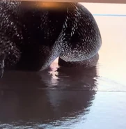 Godzilla Preview 3.png (202 KB) Another preview of Godzilla