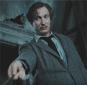 Remus Lupin Based On