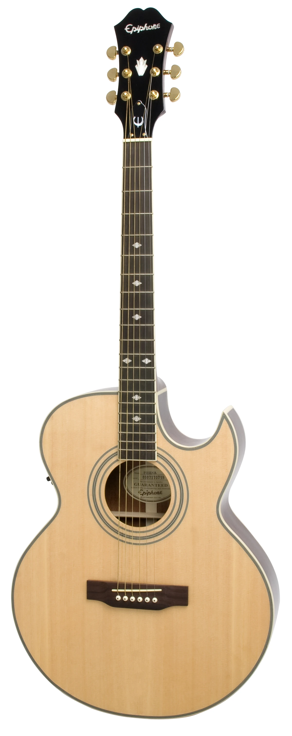 PR-5E | Epiphone Wiki | Fandom