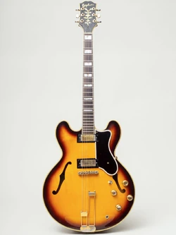 Epiphone by Gibson／Sheraton LE（2003年製造） Sheraton | Epiphone Wiki | Fandom