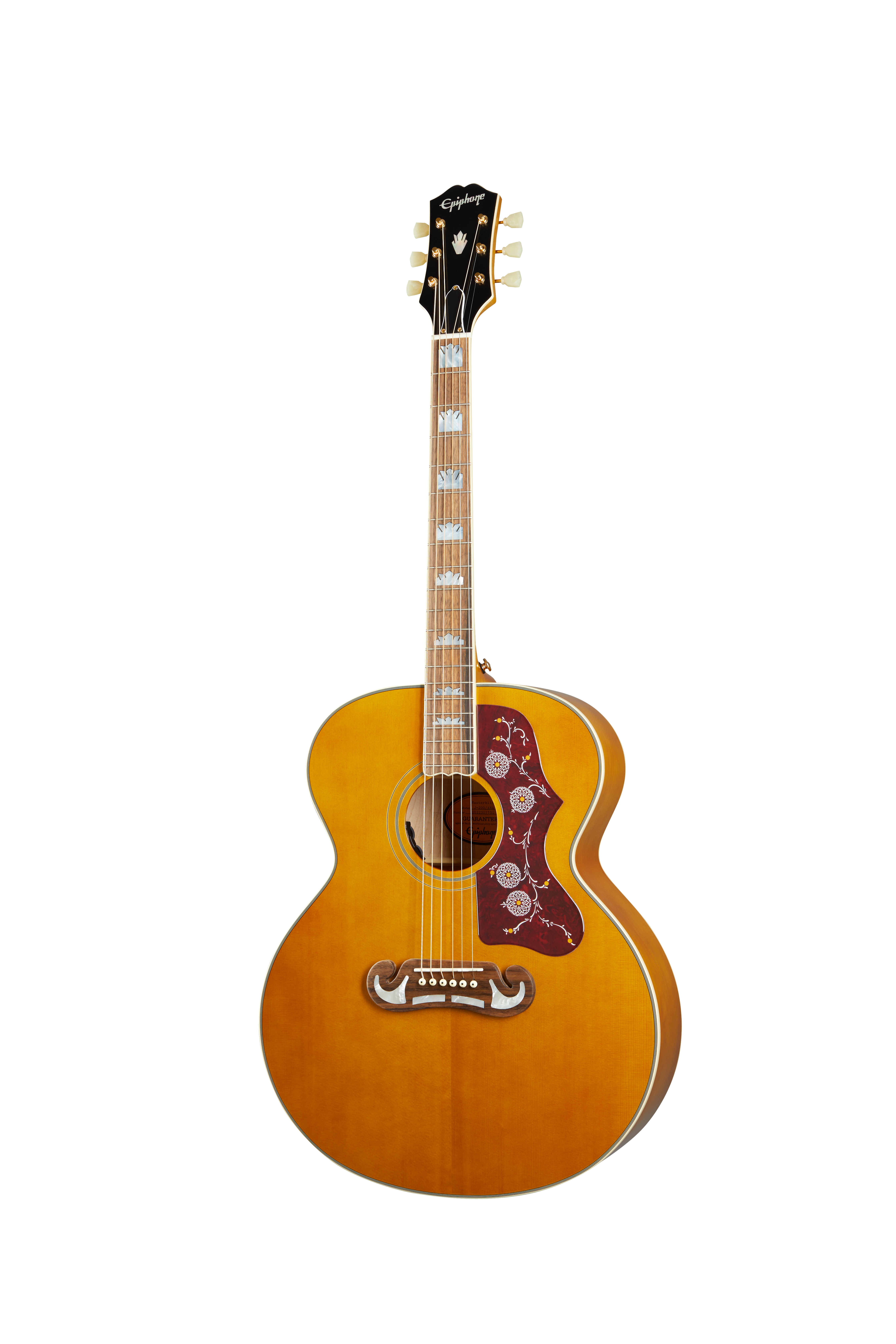 良音/Epiphone by Gibson 仕掛ける PR-200NS 改エレアコ 弦低め