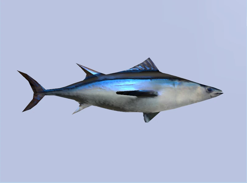 3 fishing pole Carbon Surf Fishing Combo main image 0