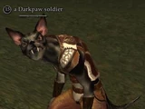 A Darkpaw soldier