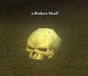 A Broken Skull