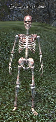 A wandering skeleton