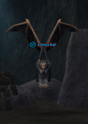 A terra bat