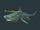 A Gunthak razortooth