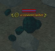 A virulent lasher