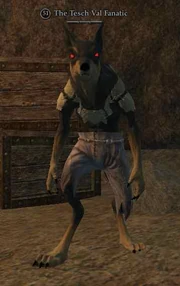 The Tesch Val Fanatic