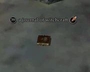 A journal of witchcraft