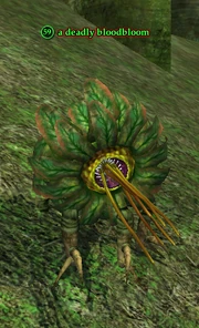 A deadly bloodbloom